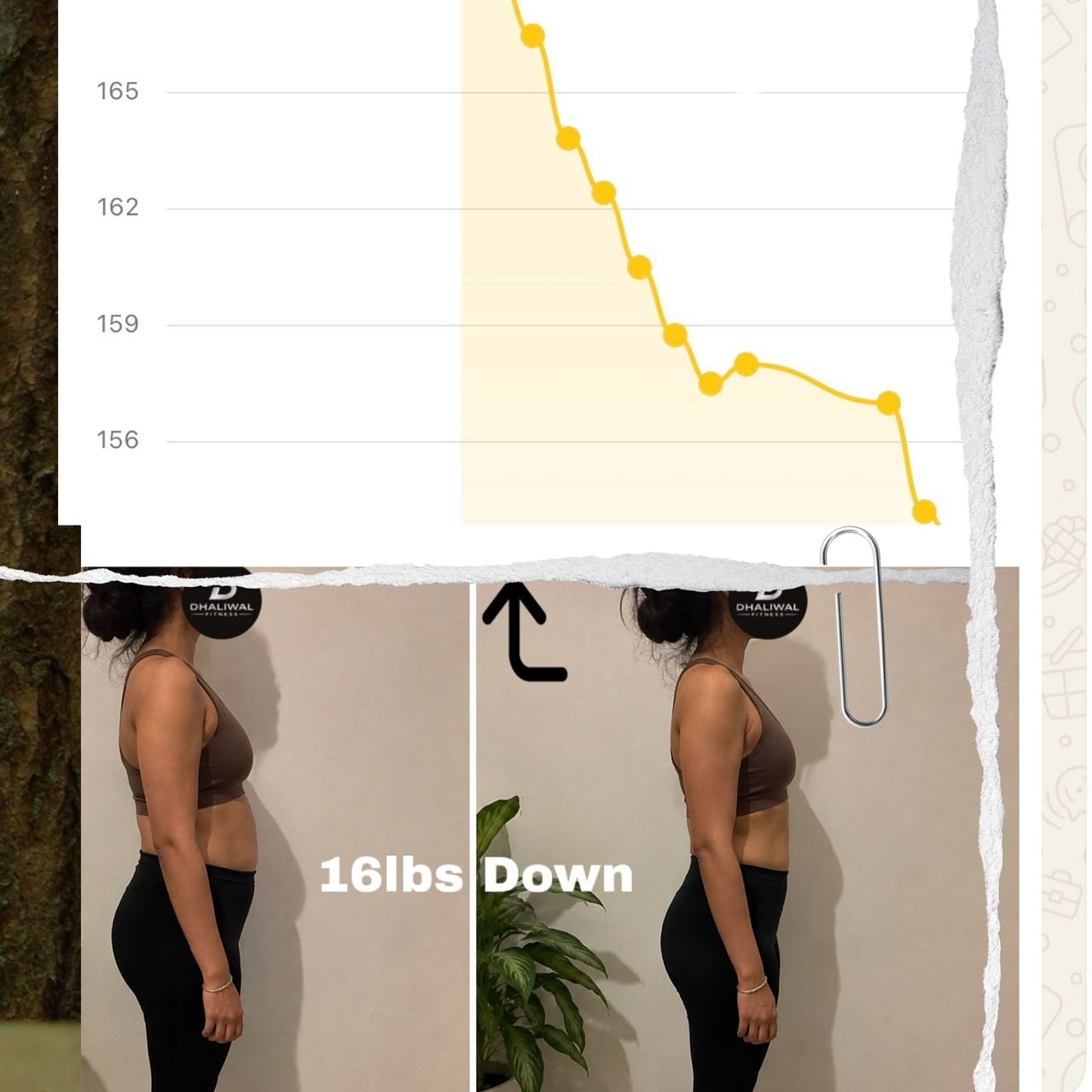 16 lbs Down